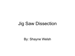 Jig Saw Dissection