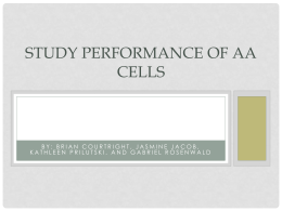 Study Performance of AA Cells