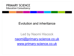 Evolution and electricity - the Primary National Curriculum 2014