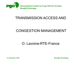 Access to the Transmission Network and Management of