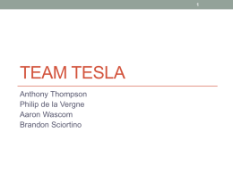 Team Tesla