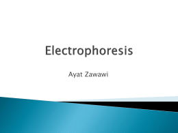 Electrophoresisx