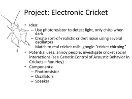 Cricket_project_brl4..