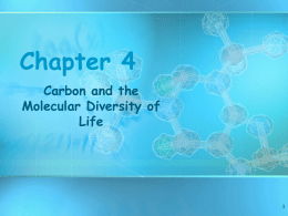 Chapter 4 Carbon Chemistry