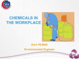 Chemical Factors at Workplaces - OIC-VET