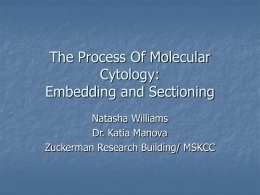 The Process Of Molecular Cytology: Embedding and Sectioning