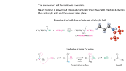 Carboxylic Acid Derivatives: Amides