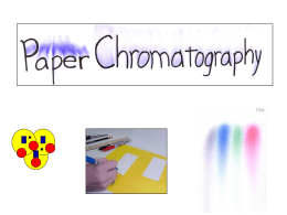 Paper Chromatography - Tauranga Boys' College