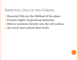 Essential Oils From The Garden - Rejuvenation Institute of