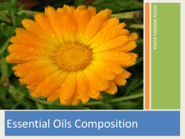 Essential Oils Composition - Universitas Pendidikan Indonesia