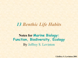 13 Benthic Life Habits