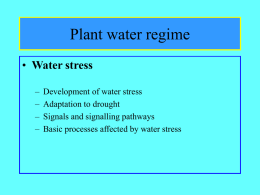 Vodní režim rostlin