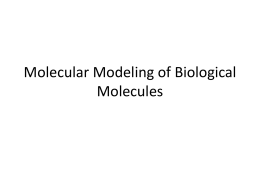 Molecular Modeling of Biological Molecules