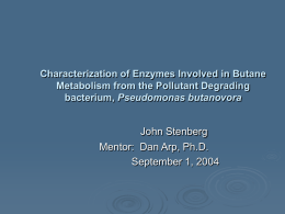 Characterization of Butane Monooxygenase from Pseudomonas