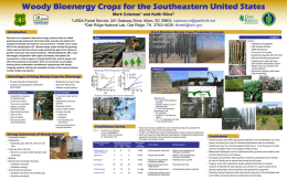Woody Biomass Cropping systems for the Southeast