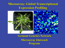 Day1VGN-Microarray-CSC2011ppt