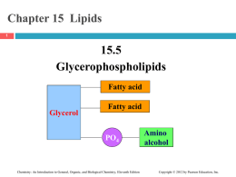 Lipids - CHEM225