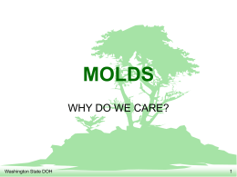 Molds by WA State Dept of Health