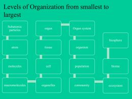 Levels of organization