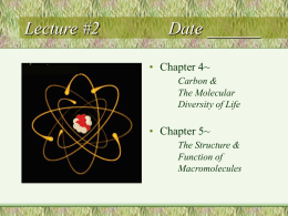 Powerpoint on chapter 4 and 5