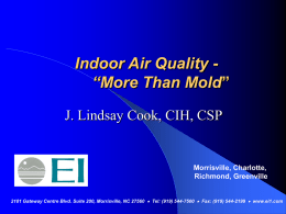 Indoor Air Quality Basics