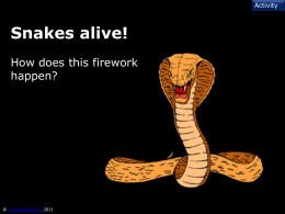snakes-alive1 - Snapshot Science