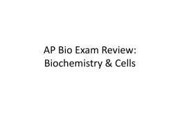 File biochem&cellsreview1