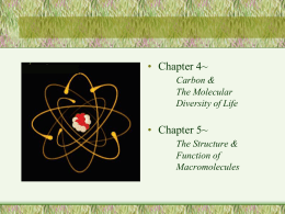 Ch 4/5 Power Point - Carbon/Macromolecules
