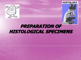 PREPARATION OF HISTOLOGICAL SPECIMENS TISSUE