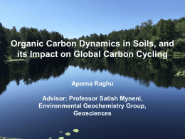 Organic Carbon Dynamics in Soils, and its Impact on Global Carbon