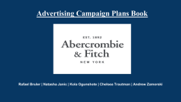 Advertising Campaign Plans Book