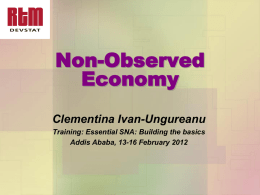 Non-Observed Economy