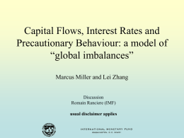 Capital Flows, Interest Rates and Precautionary Behaviour