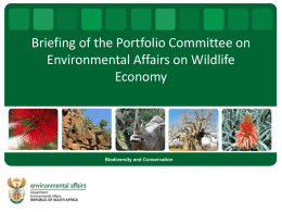 Wildlife economy presentation