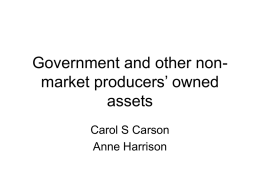 Government and other non-market producers` owned assets