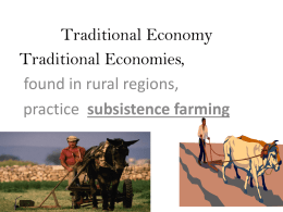 Traditional Economy
