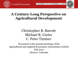 A Century-Long Perspective on Agricultural Development