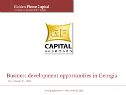 Business development opportunities in Georgia