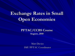Exchange Rates in small open economies