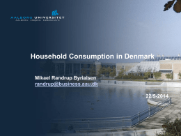 Household Consumption in Denmark