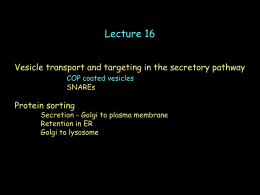 Lecture 16 - Biology Courses Server