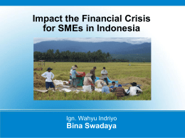 Impact the Financial Crisis for SMEs in Indonesia
