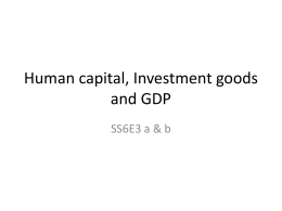 Human capital, Investment goods and GDP