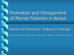 Promotion and Management of Marine Fish in Kenya