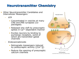 Chapter 06 - Neurotransmitter Systems