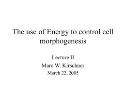 The use of Energy to control cell morphogenesis
