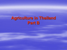 Agriculture in Thailand