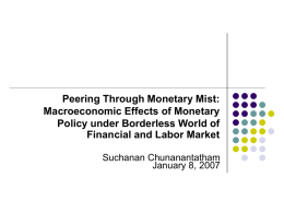 Peering Through Monetary Mist: Macroeconomic Effects of