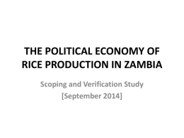 THE POLITICAL ECONOMY OF RICE PRODUCTION IN ZAMBIA
