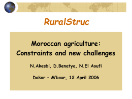 Moroccan agriculture